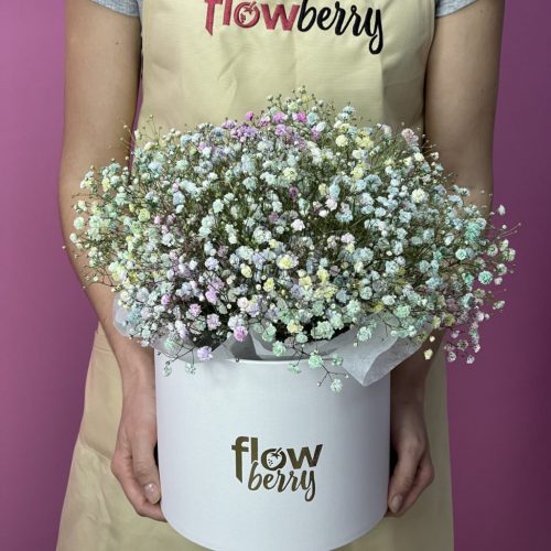 Коробка гипсофилы "Опти"